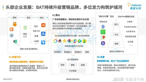 2021年中国互联网广告市场年度分析 互联网销售的增长引擎与趋势洞察
